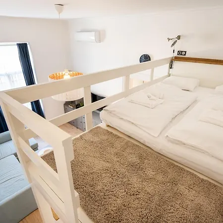 Youth Motive With Gallery Apartament